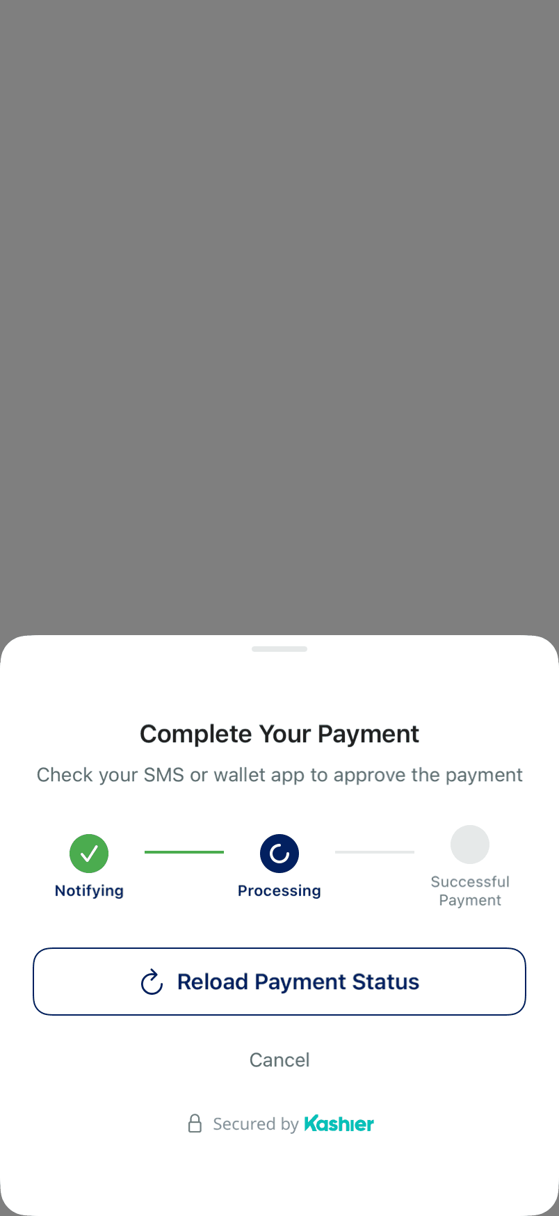 The wallet waiting sheet with Notifying, Processing and Successful Payment steps